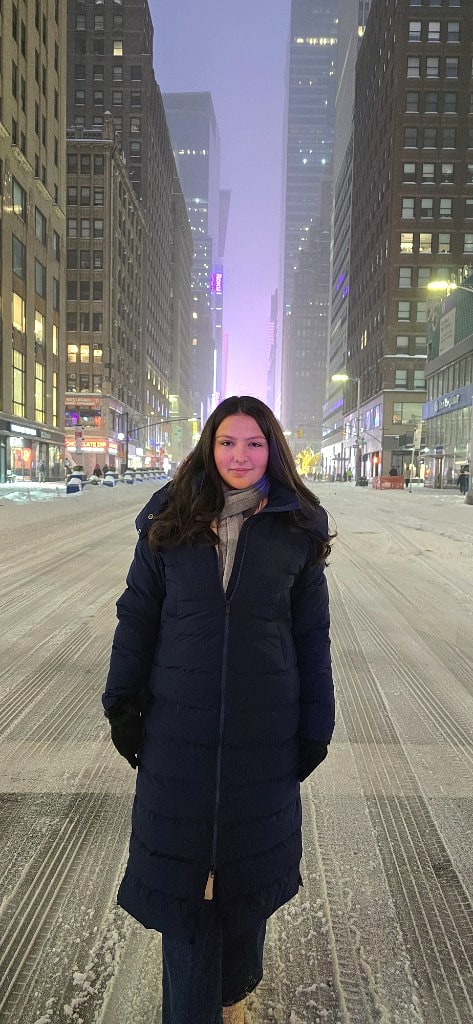 NYC — January 2026 snowstorm